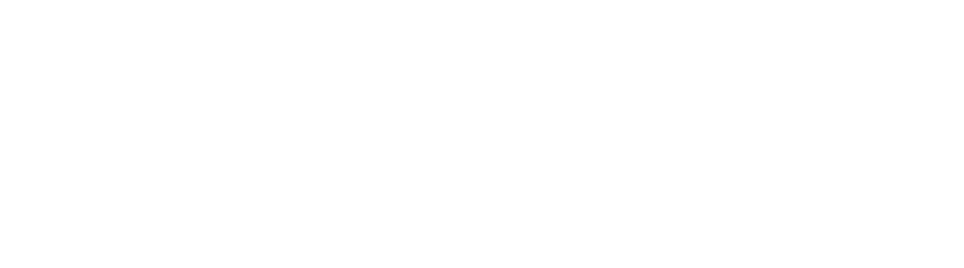 Logo von Vogelsang